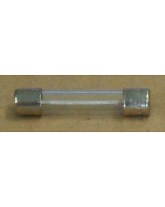 THERMO 980039 FUSE SLO BLOW GLASS