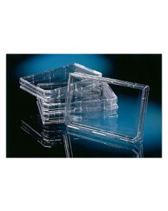 Nunc OmniTray Single-Well Plate