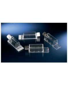 Nunc Lab-Tek Flask on Slide