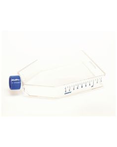 Nunc EasYFlask Cell Culture Flasks