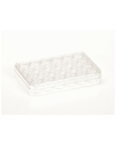 Nunc Cell-Culture Treated Multidishes