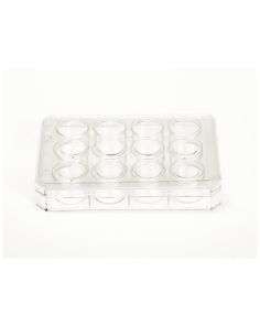 Nunc Cell-Culture Treated Multidishes
