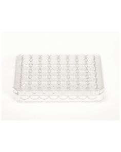 Nunc Cell-Culture Treated Multidishes
