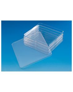 Nunc Square BioAssay Dishes