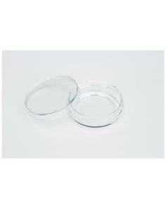 Nunc Glass Bottom Dishes
