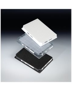 Nunc 384 Well ShallowWell Standard Height Clear Plates