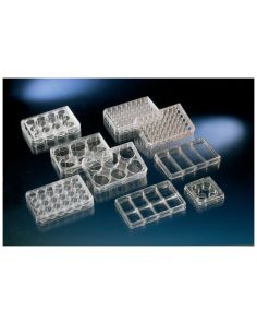 Nunc Cell-Culture Treated Multidishes