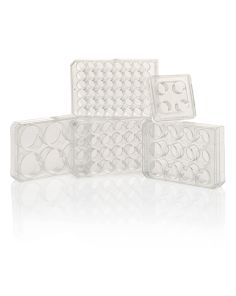 Nunc Cell-Culture Treated Multidishes
