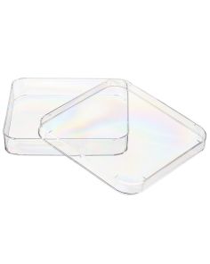 Nunc Lab-Tek Petri Dishes