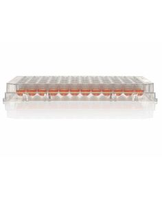 96 Well Round (U) Bottom Plate, TC Surface, Pack of 1