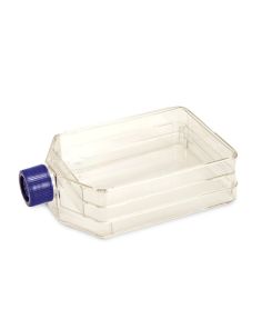 Nunc™ Non-treated Flasks