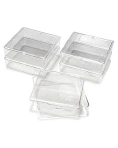 Owl™ Gel Staining Box