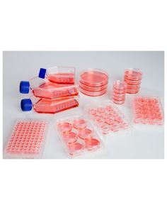 Nunclon™ Sphera™ Flasks