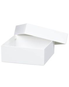 Thermo Scientific 5954 BOX 2