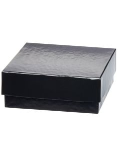 Thermo Scientific 1950884 2" Black Fiberboard Boxes 12 pk