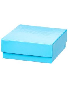 Thermo Scientific 1950883 2" Blue Fiberboard Boxes 12 pk