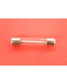 THERMO E70-0004-02 FUSE SLO/BLO 2 AMP 3AG 1/4 X1