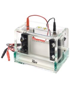Thermo Scientific Owl P10DS-2 PENGUIN DUAL GEL SYSTEM COMPL