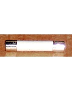 THERMO FA-927 FUSES 10AMP 250V (10PKG)