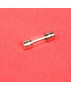 THERMO FBFUSE2 FUSE T3.0A 250V (RPO)