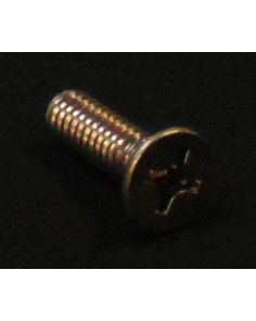 THERMO FSX306 SCREW MA .25-20X.875 SS C PH