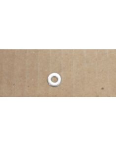 THERMO FWX7 WSH FLAT .172X.375X.031 8 SS