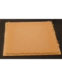THERMO PT72X4 PLATE RPO 1/00