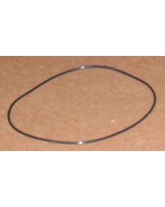 THERMO S4013673 O RING