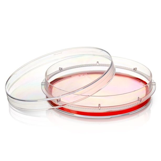 Thermo Scientific Nunc EasYDish Dishes with Nunclon Supra Surface - 150476 - 100 mm - Clear