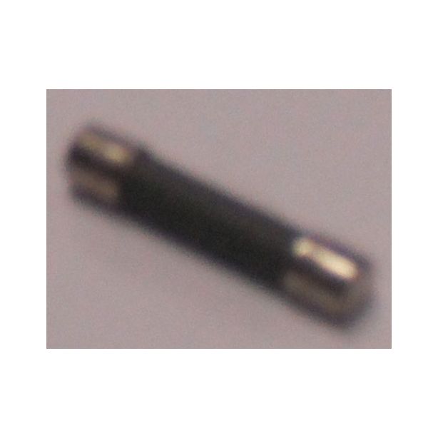 THERMO 330-241-00 FUSE 20 AMP TIME DELAY