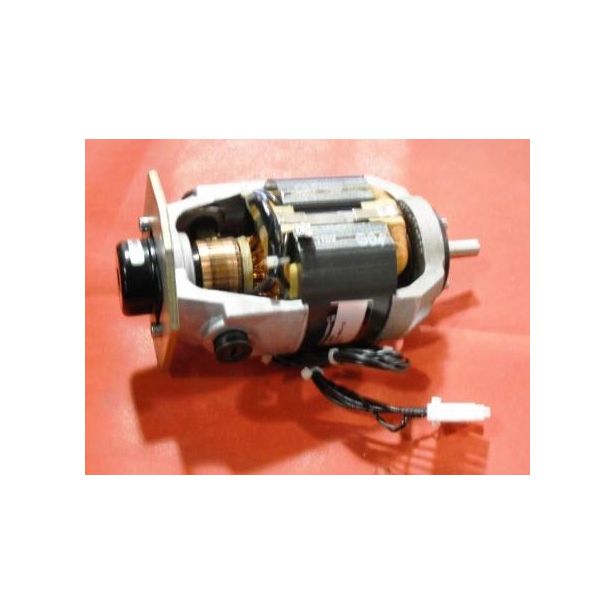 THERMO 449960F S ASSY MOTOR/MTG PLATE
