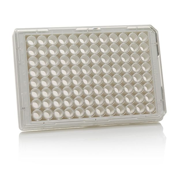 96 Well Black/Clear Bottom Plate, Non-Treated Surface, No Lid, Non-Sterile, Pack of 10