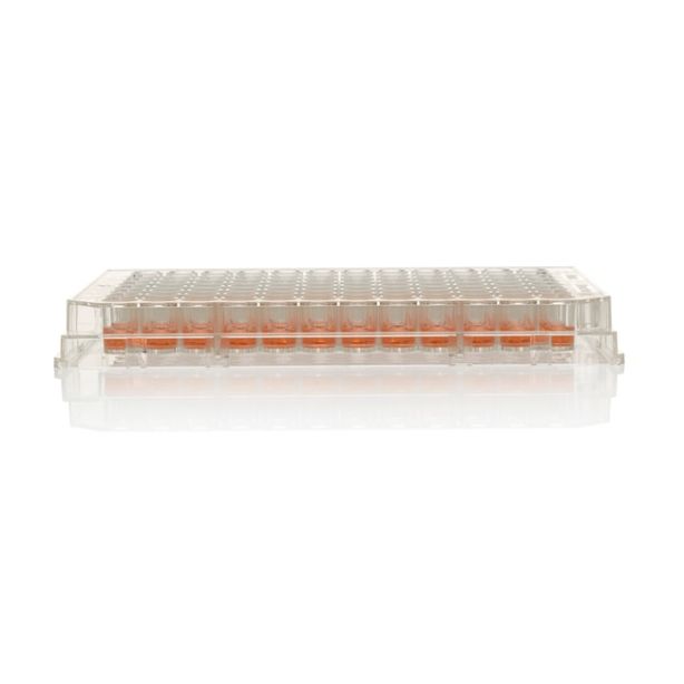 96 Well Plate, Non-Treated, Surface, No Lid, Non-sterile, Pack of 10