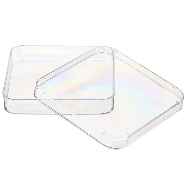 Nunc™ Lab-Tek™ Petri Dishes