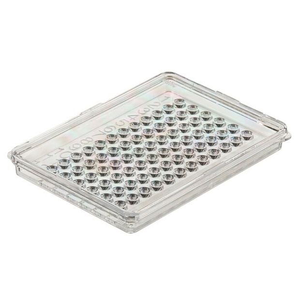 Nunc™ MicroWell™ MiniTrays