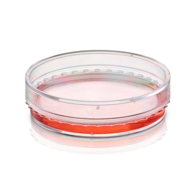 BioLite™ Cell Culture Treated Dishes