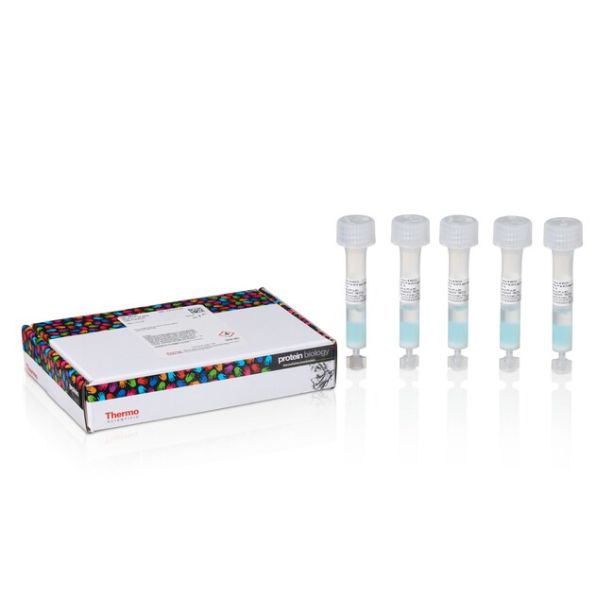 HisPur™ Ni-NTA Spin Columns, 1 mL