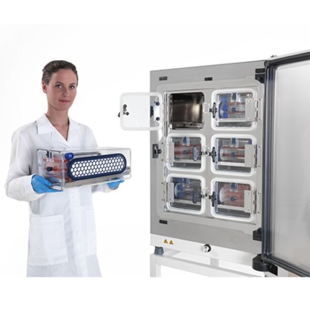 Heracell™ Vios™160i CO2 Incubator with Cell Locker™, 165L