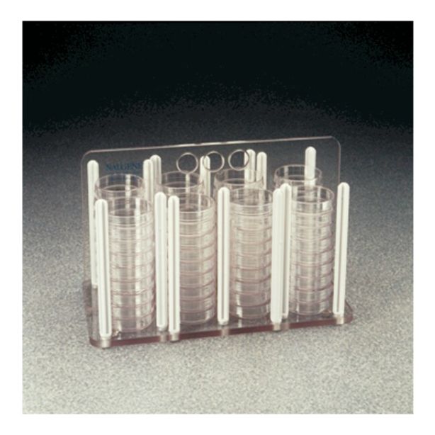 Nalgene™ Petri and Bioassay Dish Racks