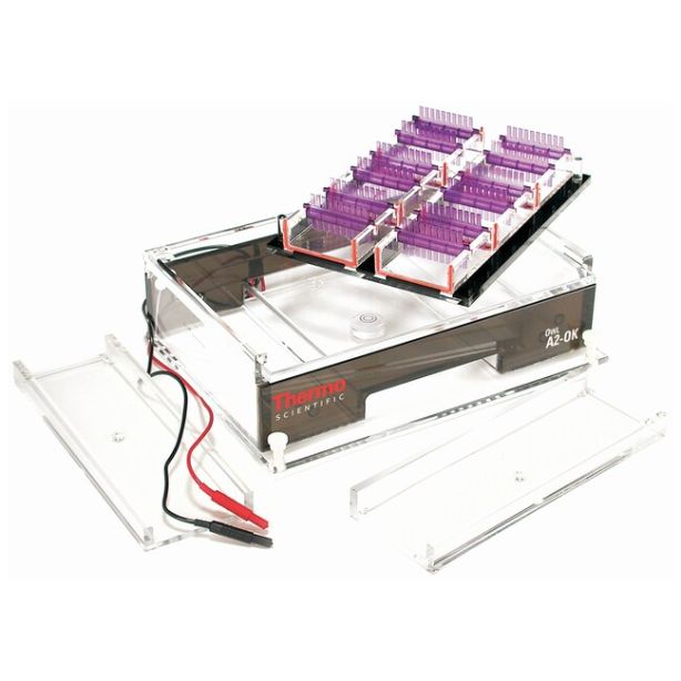 Owl™ A2-OK Multiple Gel System Gel Tray Holder