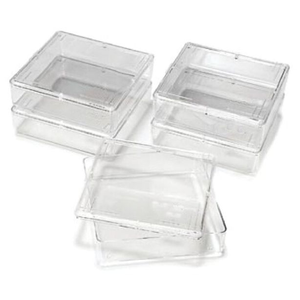 Owl™ Gel Staining Box