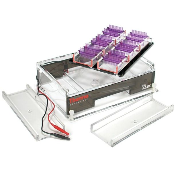 Owl™ A2-OK Multiple Gel Electrophoresis System