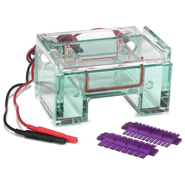 Owl™ EasyCast™ B1A Mini Gel Electrophoresis Systems