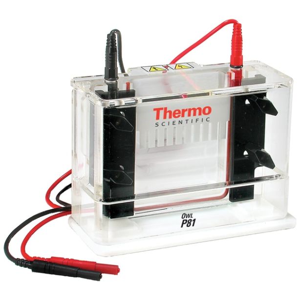 Owl™ P81 Single-Sided Vertical Electrophoresis System, 10 x 10cm gel size, 150mL buffer volume