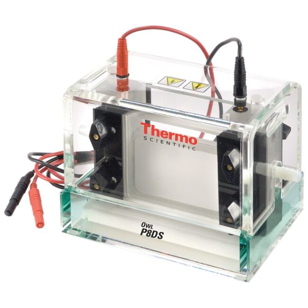 Owl™ Dual-Gel Vertical Electrophoresis Systems