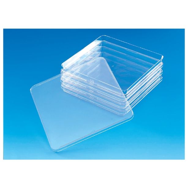 Nunc™ Square BioAssay Dishes