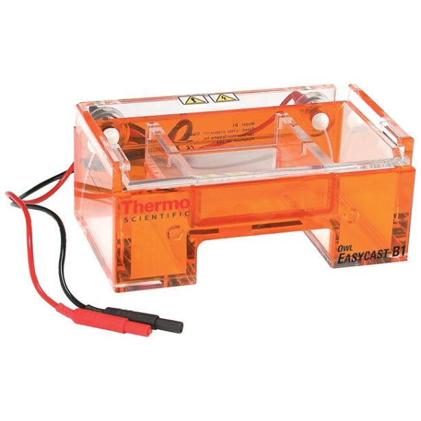 Owl™ EasyCast™ B1 Mini Gel Electrophoresis Systems