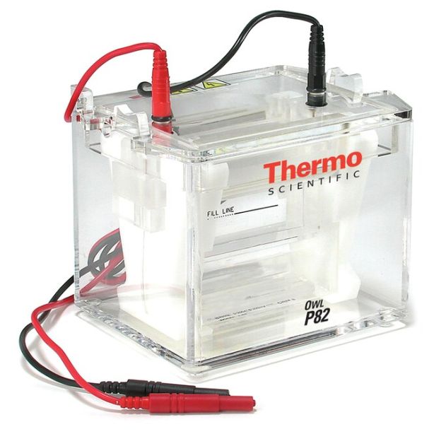 Owl™ P82 Dual-Gel Electrophoresis Double Sided Vertical System, 8-10 x 10cm gel, 150-300mL buffer volume