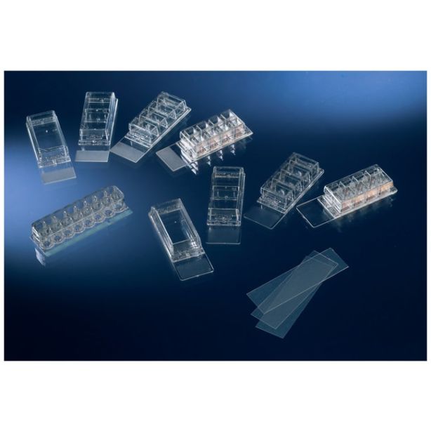 Nunc™ Coverglass for 178599 Chamber Slide System, 16 well