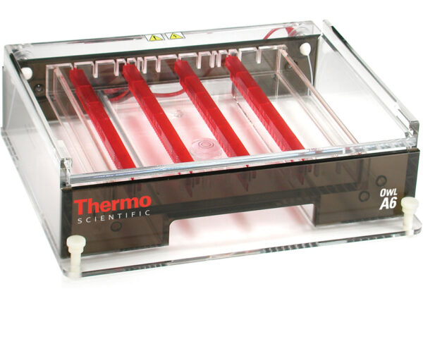 Thermo Scientific Owl Wide Gel System, 23 x 25 cm